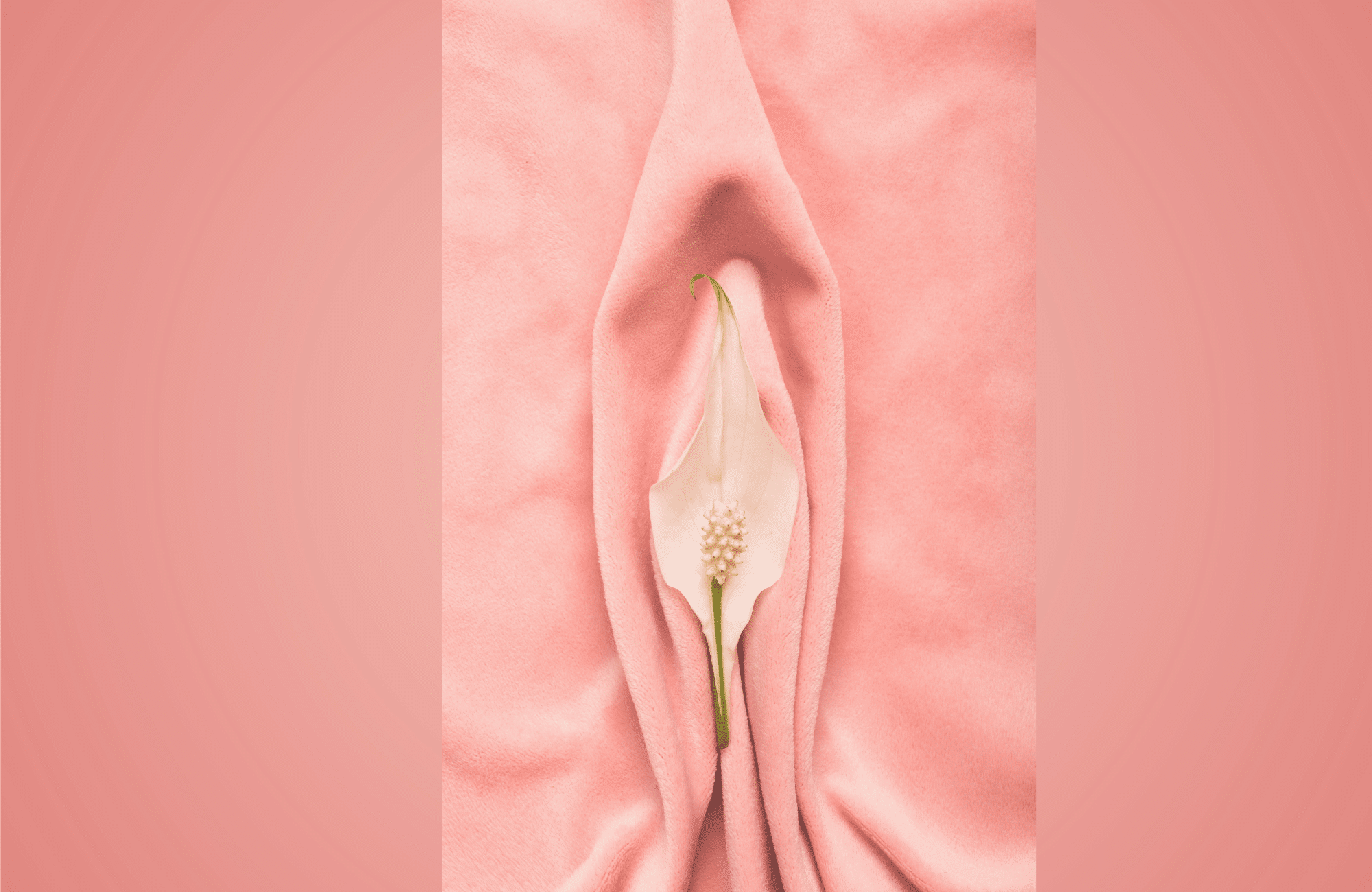 How To Suck Clit?