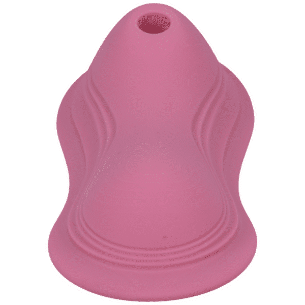 Clitoral Sucking Vibrator with Remote – Dusty Pink