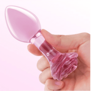 Butt Plugs For Beginners Training Set