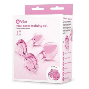 Butt Plugs For Beginners Training Set