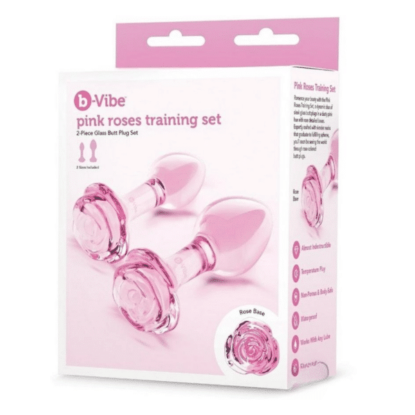 Butt Plugs For Beginners Training Set